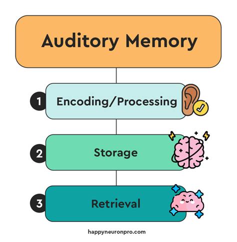 what is auditory memory called