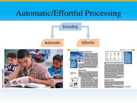 what is automatic and effortful processing