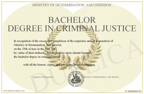 what is bachelor's degree in criminal justice