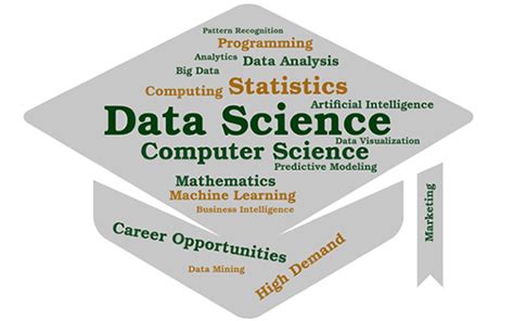 what is bachelor of science in statistics and programming
