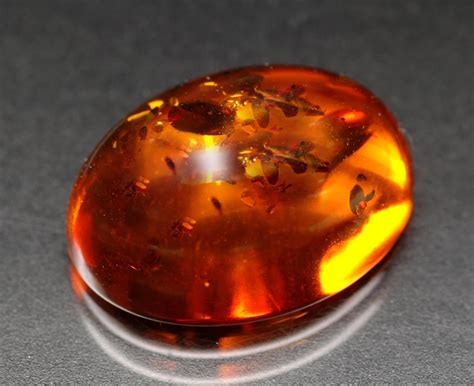 what is baltic amber made of