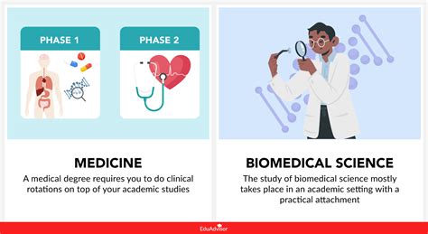 what is basic biomedical research