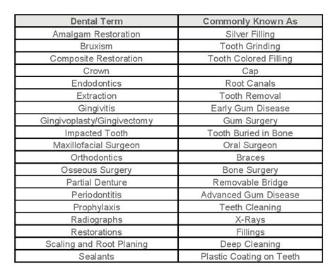 What Is Basic Dental Terminology