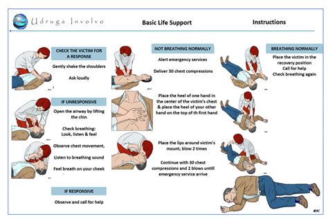 what is basic life support in nursing