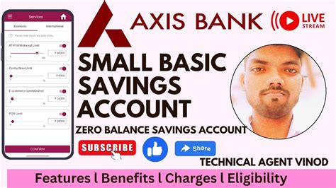 what is basic savings account in axis
