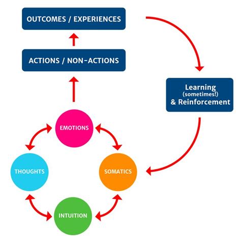 what is behavioral framework