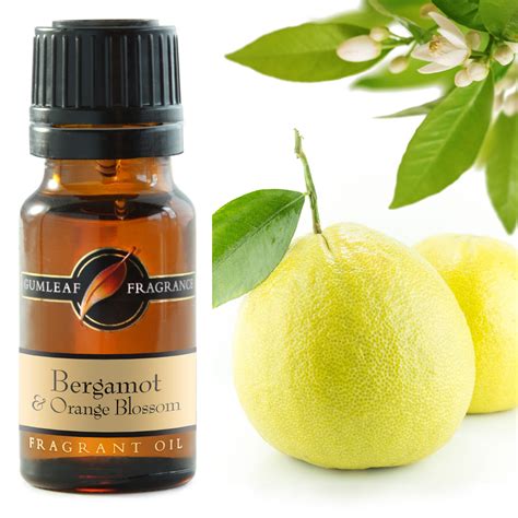 what is bergamot fragrance
