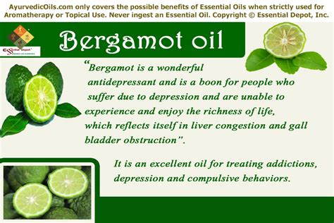 what is bergamot plant essential oil good for