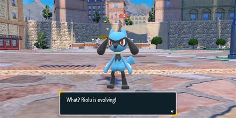 what is best nature for riolu
