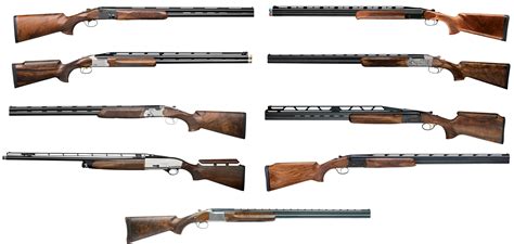 What Is Best Shotgun For Trap Shooting