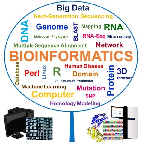 What Is Big Data Bioinformatics