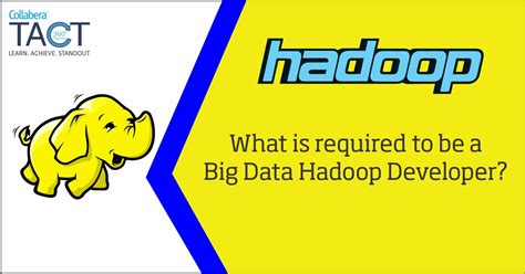 What Is Big Data Hadoop Developer