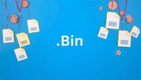 What Is Bin File In Unix