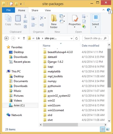 What Is Bin Folder In Python