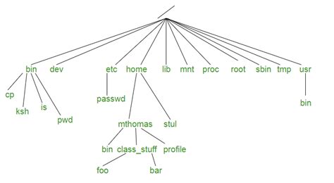 What Is Bin In Linux