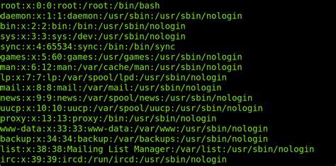 What Is Bin User In Linux
