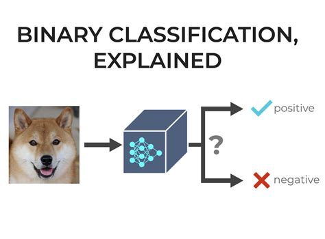 what is binary classification algorithm