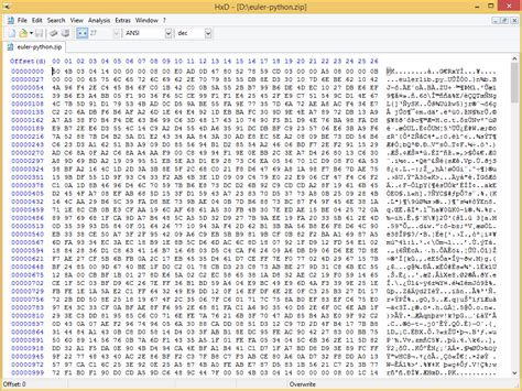what is binary format