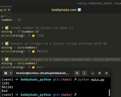 what is binary format in python