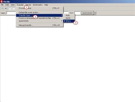 What Is Binary Transfer Mode