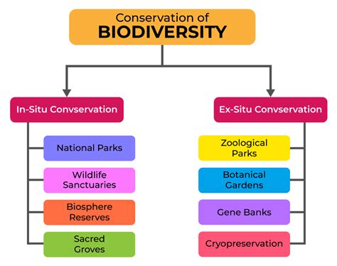 what is biodiversity conservation and its types