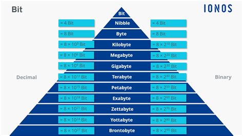 what is bits and bytes