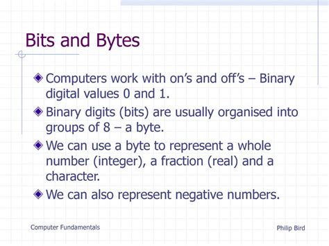 what is bits and bytes in computer