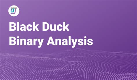 What Is Black Duck Binary Analysis