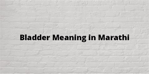 What Is Bladder In Marathi Language