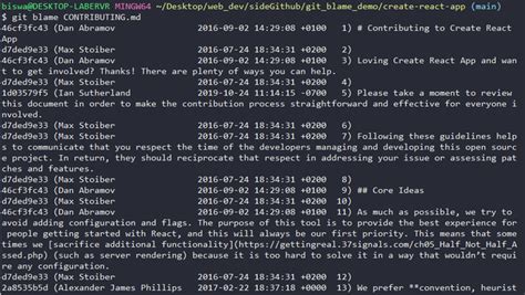 what is blame on github