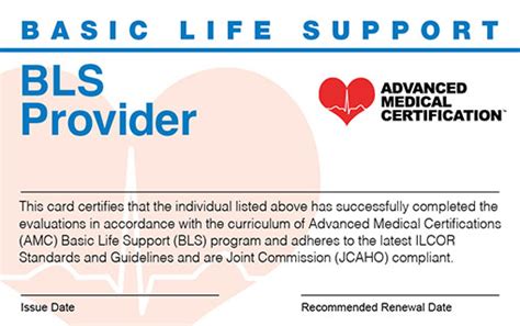 what is bls certification means