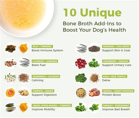 what is bone broth for dogs