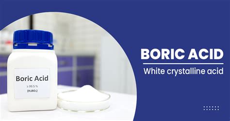 what is boric acid powder used for