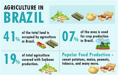 what is brazil known for producing