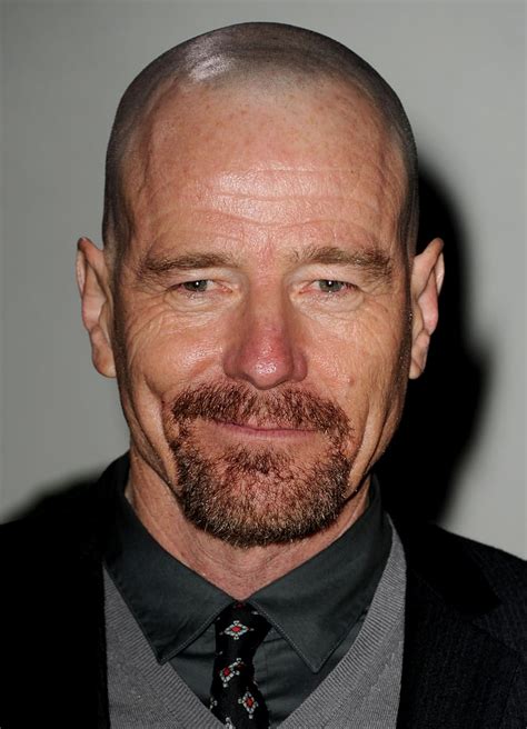 what is bryan cranston known for
