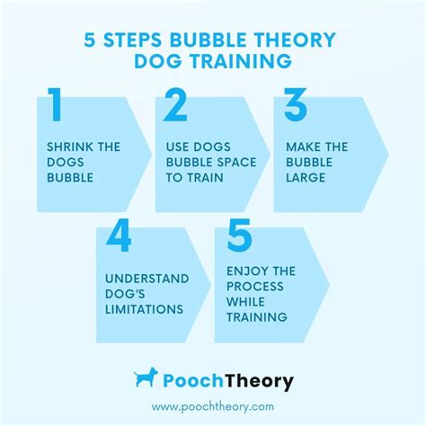 Bubble Theory Dog Training for Reactive Dogs Elegant Furball
