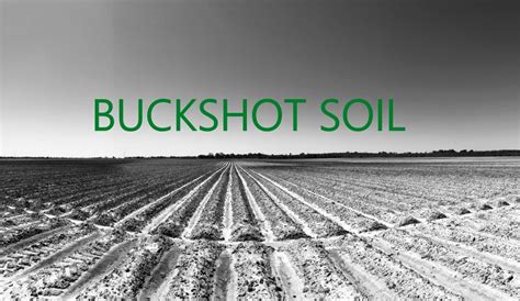 what is buckshot soil