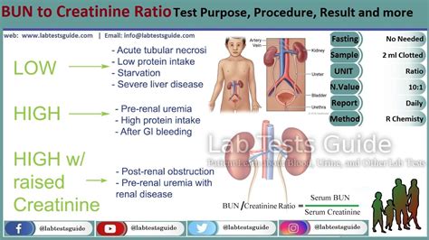 what is bun creatinine ratio high