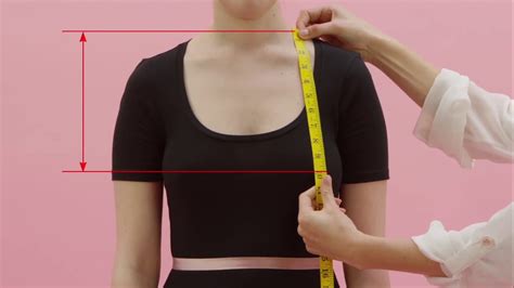 What Is Bust Height