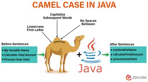 what is camel case and pascal case in java