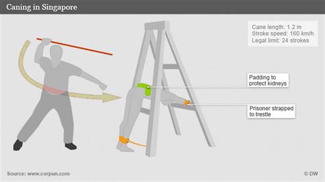 What Is Caning Made From