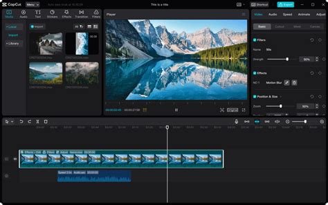 what is capcut video editor