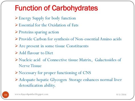 What Is Carbohydrates Functions