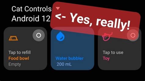 What Is Cat Control Android 12