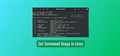 What Is Cat In Linux Terminal