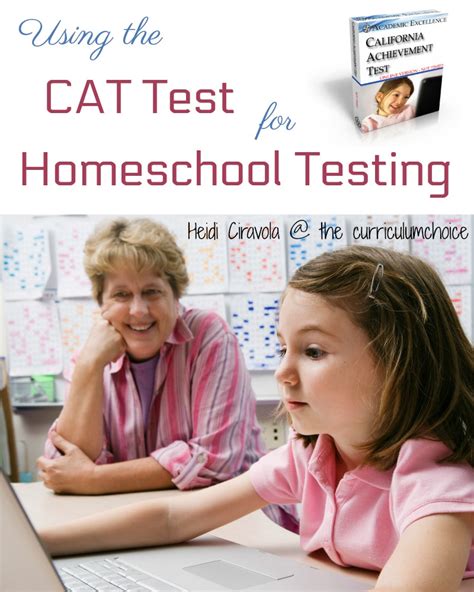 What Is Cat Test