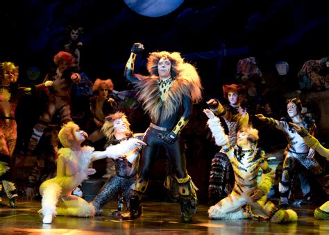 what is cats broadway about