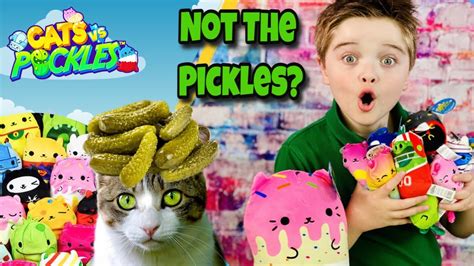 what is cats vs pickles