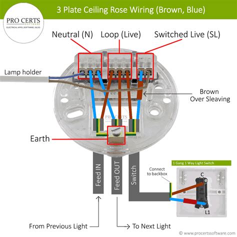 What Is Ceiling Rose In Electrical