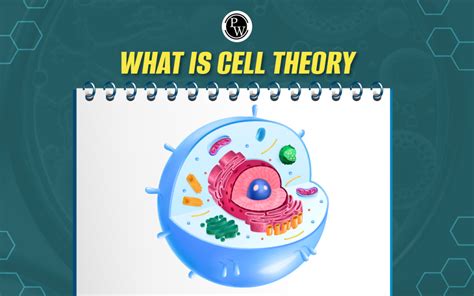 what is cell theory explain class 9